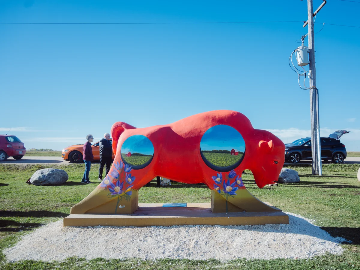 Bisons On The Boulevard — Centre of Canada by Oluuji. Image 3 of 5.