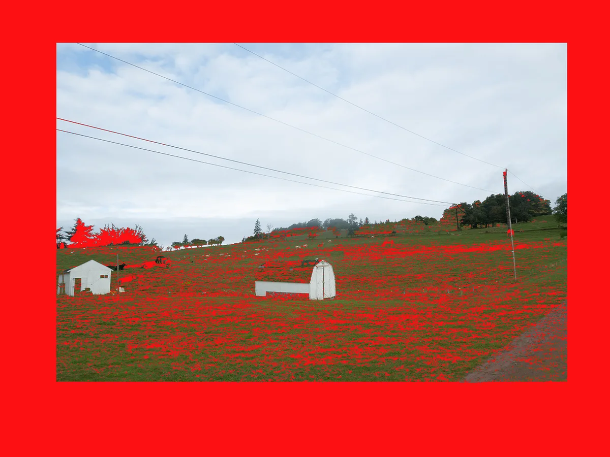 Post Cards (2026) by Oluuji. Image 5 of 8.