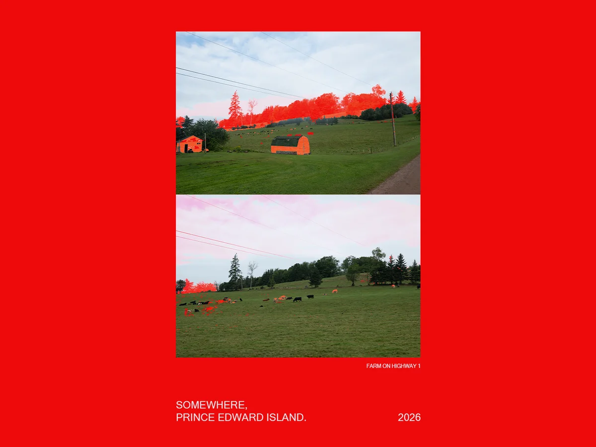 Post Cards (2026) by Oluuji. Image 7 of 8.